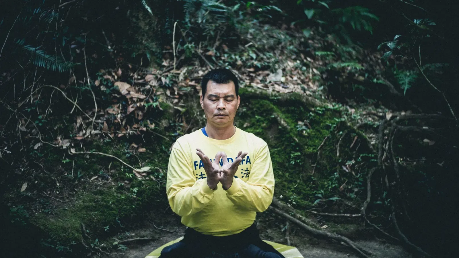 Nicate Lee en Unsplash